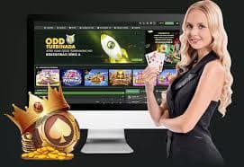 499net